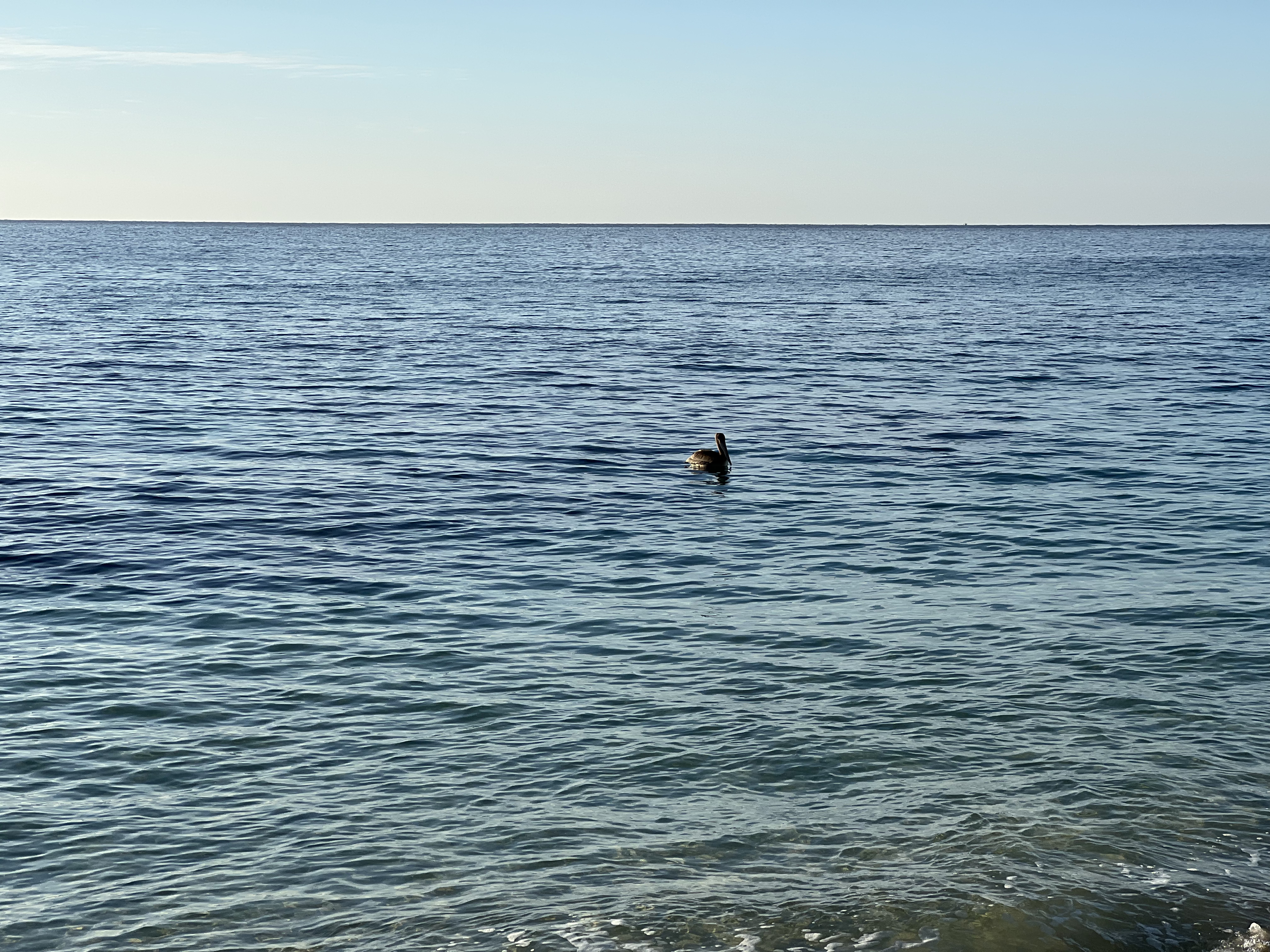 ./2024/13 - Cabo/IMG_4209.jpg